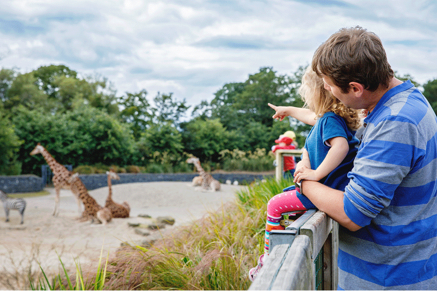What Should I Do If I Get Injured at the ZooTampa at Lowry Park?